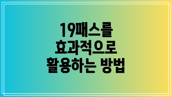19패스를 효과적으로 활용하는 방법