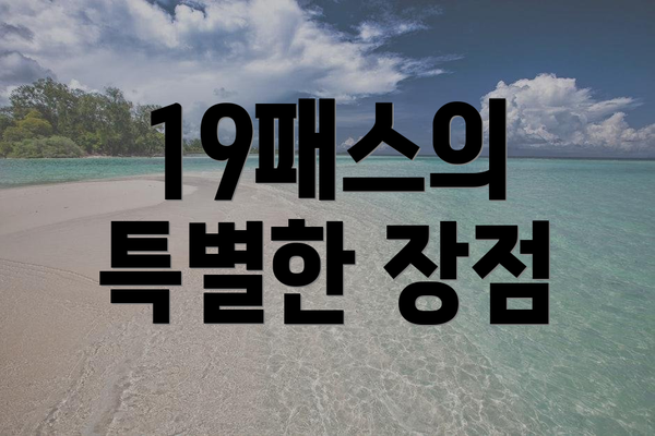 19패스의 특별한 장점
