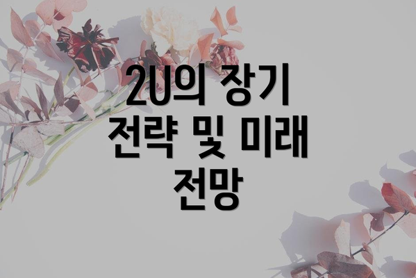 2U의 장기 전략 및 미래 전망