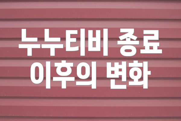 누누티비 종료 이후의 변화