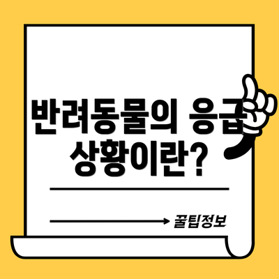 반려동물의 응급 상황이란?