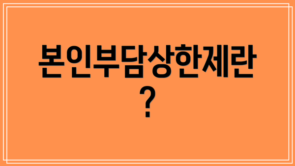 본인부담상한제란?