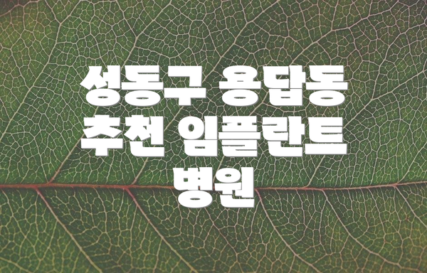 성동구 용답동 추천 임플란트 병원
