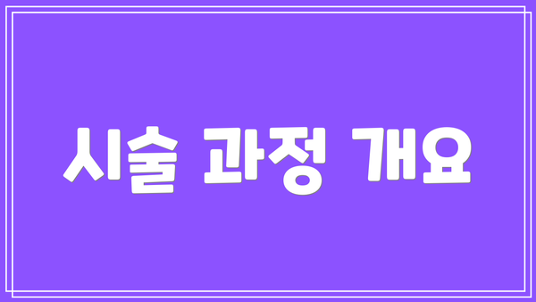 시술 과정 개요