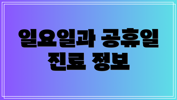 일요일과 공휴일 진료 정보