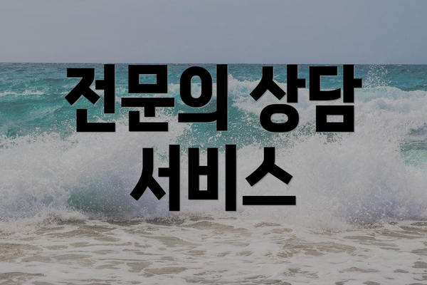 전문의 상담 서비스