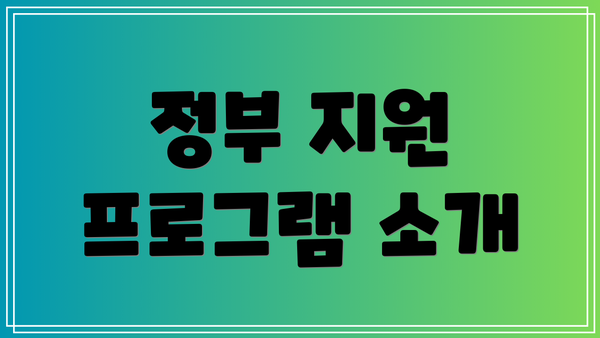 정부 지원 프로그램 소개