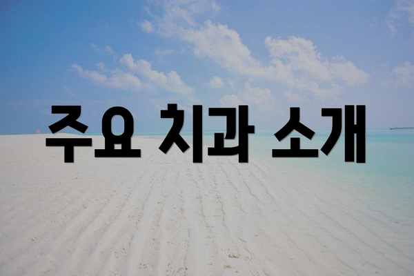 주요 치과 소개