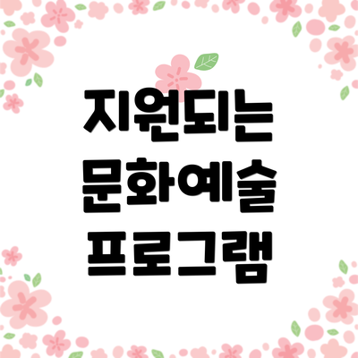 지원되는 문화예술 프로그램