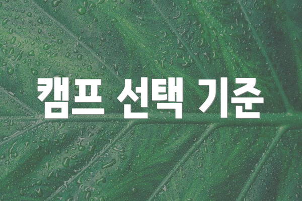 캠프 선택 기준