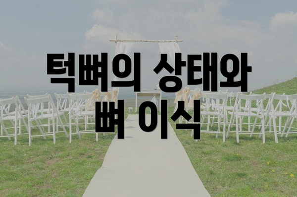 턱뼈의 상태와 뼈 이식