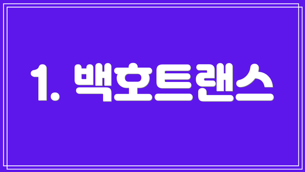 1. 백호트랜스