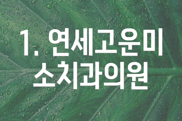 1. 연세고운미소치과의원