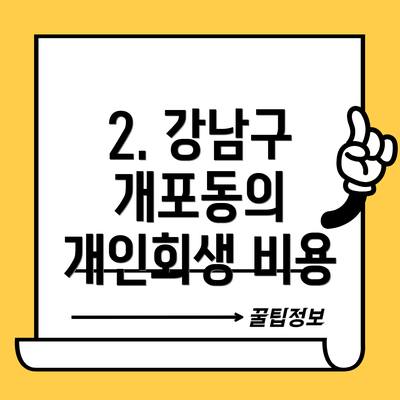 2. 강남구 개포동의 개인회생 비용