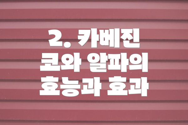 2. 카베진 코와 알파의 효능과 효과
