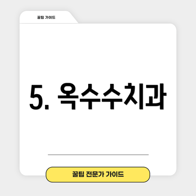 5. 옥수수치과