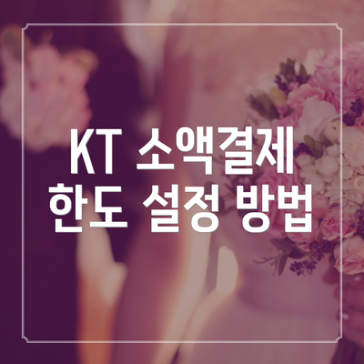 KT 소액결제 한도 설정 방법