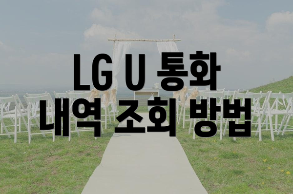 LG U 통화 내역 조회 방법
