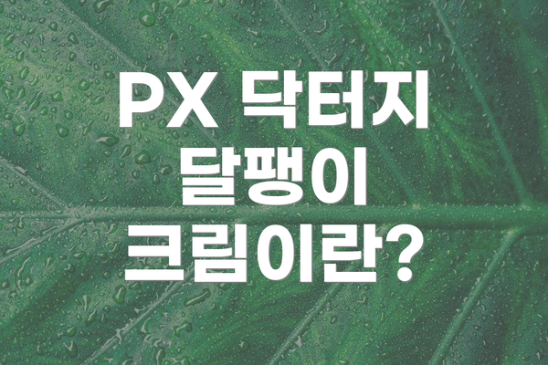 PX 닥터지 달팽이 크림이란?