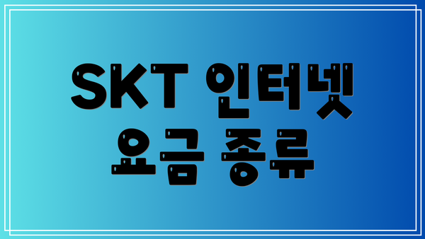 SKT 인터넷 요금 종류