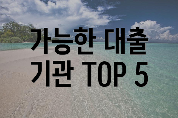가능한 대출 기관 TOP 5