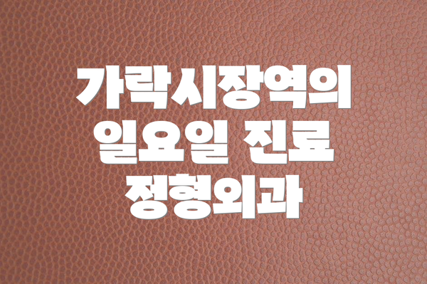 가락시장역의 일요일 진료 정형외과