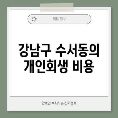 강남구 수서동의 개인회생 비용