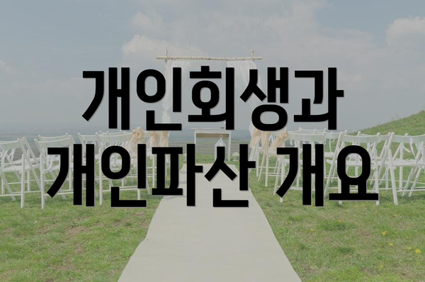 개인회생과 개인파산 개요