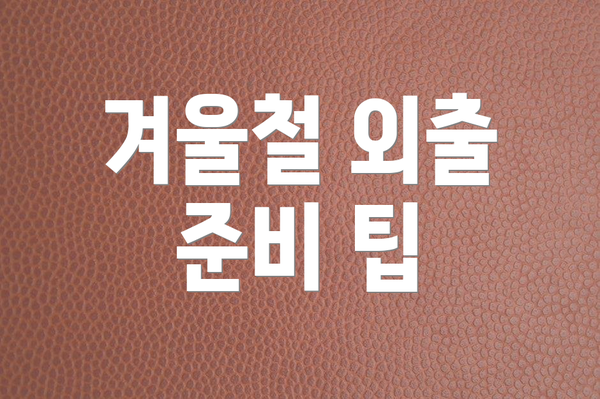 겨울철 외출 준비 팁