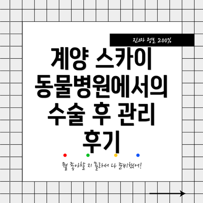 계양 스카이 동물병원에서의 수술 후 관리 후기