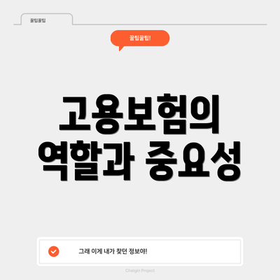 고용보험의 역할과 중요성