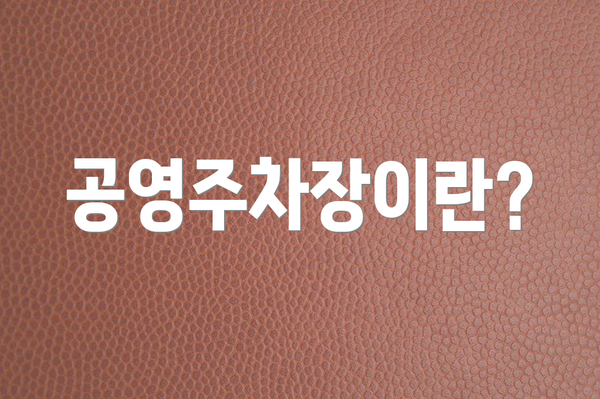 공영주차장이란?