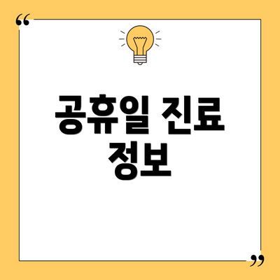 공휴일 진료 정보