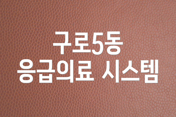 구로5동 응급의료 시스템