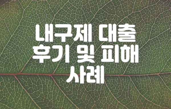 내구제 대출 후기 및 피해 사례