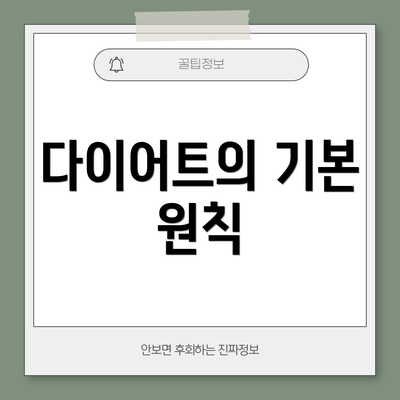 다이어트의 기본 원칙