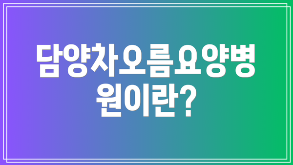 담양차오름요양병원이란?
