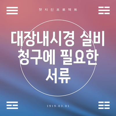 대장내시경 실비 청구에 필요한 서류