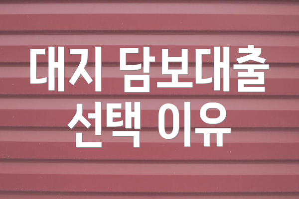 대지 담보대출 선택 이유