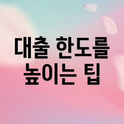 대출 한도를 높이는 팁