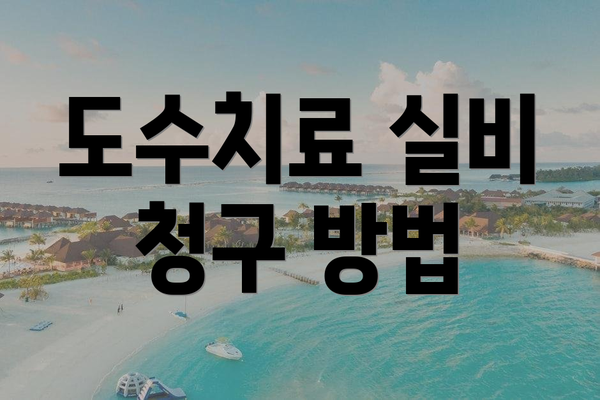 도수치료 실비 청구 방법