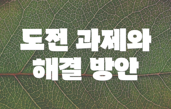 도전 과제와 해결 방안