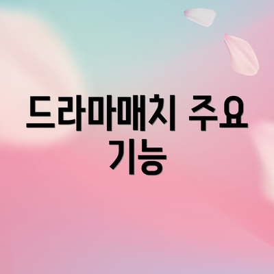 드라마매치 주요 기능
