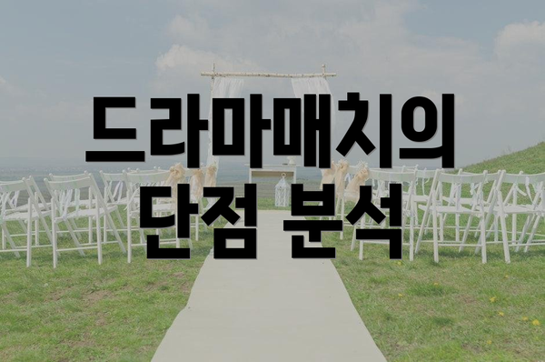 드라마매치의 단점 분석