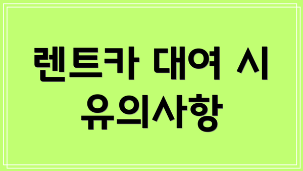 렌트카 대여 시 유의사항