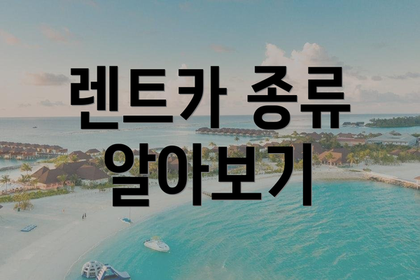 렌트카 종류 알아보기