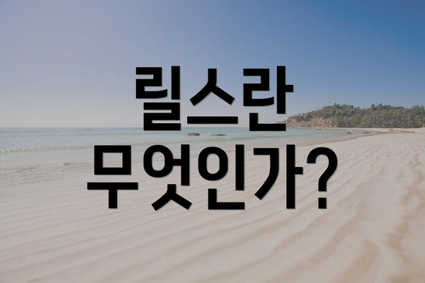 릴스란 무엇인가?