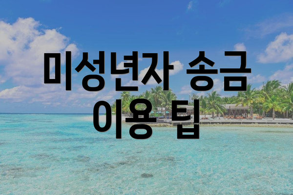 미성년자 송금 이용 팁