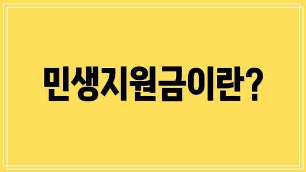 민생지원금이란?