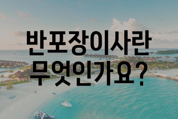 반포장이사란 무엇인가요?